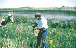 photo of scientists collecting data on a restored prairie wetland.
