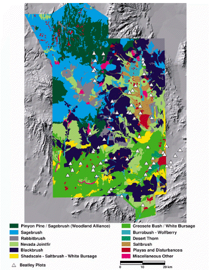Figure 2. Vegetation distributions on the Nevada Test Site.