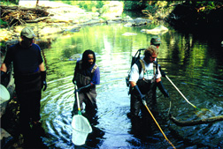 Picture of personnel collecting data
from the lower Tennessee River Basin