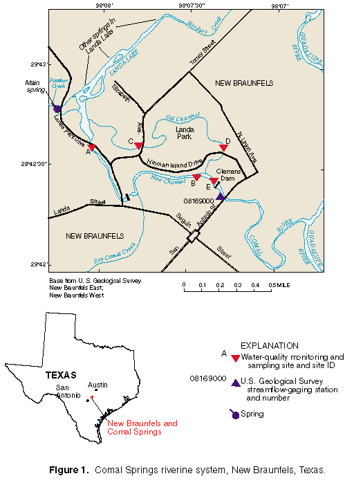 Figure 1. Comal Springs riverine system, New Braunfels, Texas