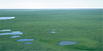 Typical view of the ANWR 1002 area coastal plain.