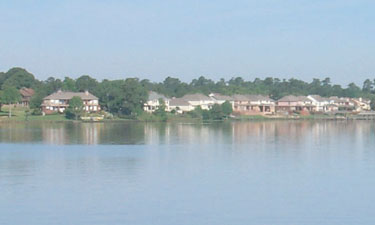 Photograph of Lake Houston shoreline.