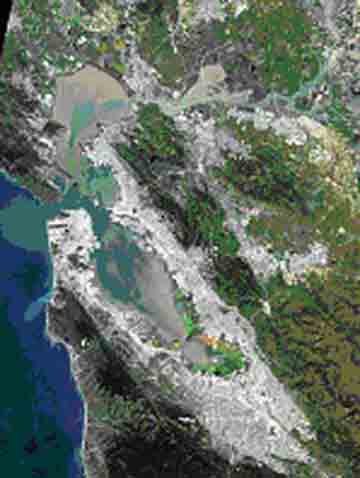 Landsat image of San Fransisco Bay.