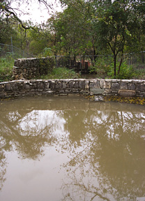 Photograph of Old Mill Spring.