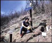 Testing a solar-powered radio telemetry system
