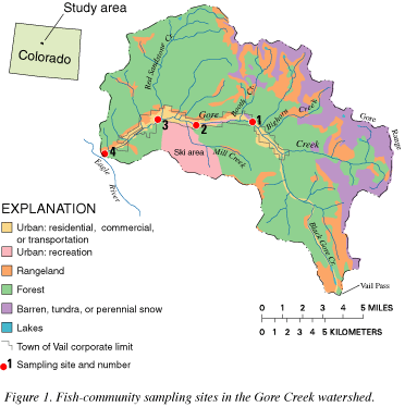 Figure 1. Fish-community sampling sites in the Gore Creek watershed.