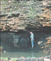 Photograph showing the contact between the Upper Freeport coal bed and the overlying sandstone in Pennsylvania