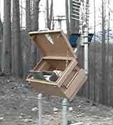 Photograph of precipitation gage used at Grizzly Gulch Fire.