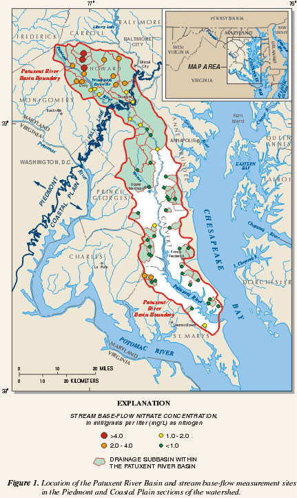 Figure 1. Location of the Patuxent River Basin and stream base-flow measurement sites in the Piedmont and Coastal Plain sections of the watershed. (Click to view larger image)