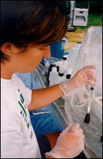 Photograph of USGS scientist determining arsenic content of well water from the northeastern United States