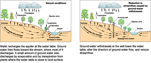 Two sketches that show how water recharges and how pumping water from a well reduces streamflow.  In the first sketch, water recharges the aquifer at the water table. Ground water then flows toward the stream, where most of it discharges.  A small amount of ground water also discharges by evaporation and by transpiration from plants where the water table is close to the land surface. In the second sketch, ground-water withdrawals at the well lower the water table, alter the direction of ground-water flow, and reduce streamflow.