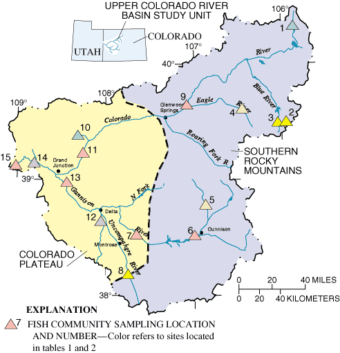 Figure 1. Location of Upper Colorado River Basin study unit, physiographic provinces, and fish community sampling sites.