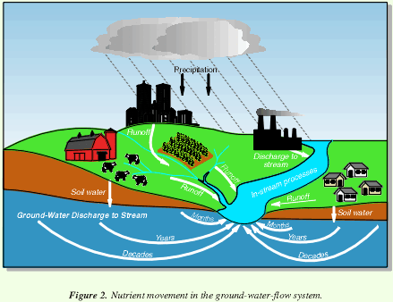 Figure 2. Nutrient movement in the ground-water-flow system. (Click to view larger image)
