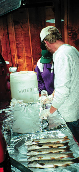 Photograph showing whole-body-fish sample processing.