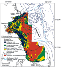 Distribution of sedimentary environments in the Boston Harbor-Massachusetts Bay sedimentary system.
