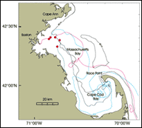 Paths of a few of the drifters released in May 1990 illustrating the variability of the surface currents in Massachusetts Bay. Drifters (surface floats attached to an underwater drogue) were released (initial locations at the red dots) and tracked via satellite until they either left the bay or grounded ashore.