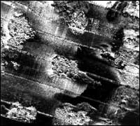 Mosaic of sonar images.