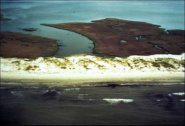 The area shown is part of the Isles Dernieres in central Louisiana. Sustained winds in excess of 135 miles per hour accompanied Hurricane Andrew as it passed across the western end of these barrier islands. The photograph below was taken in July 1992 before Hurricane Andrew.