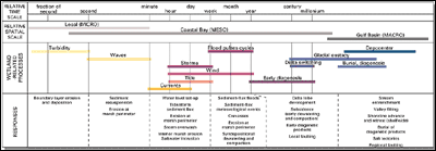 Chart showing temporal and spatial relationships of wetland-related processes and responses.