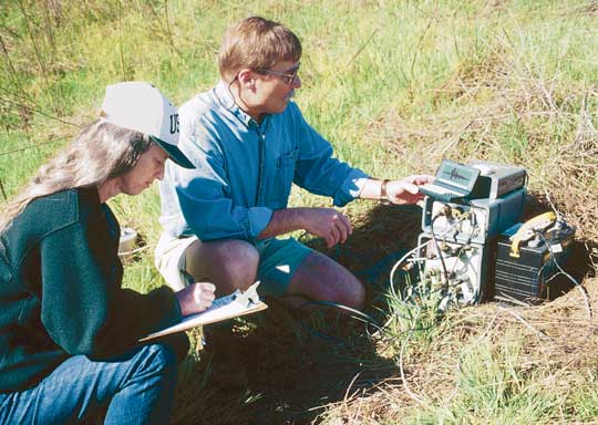 geologists working in the field