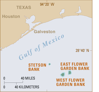 map of the Flower Bank coral reefs in the Gulf of Mexico