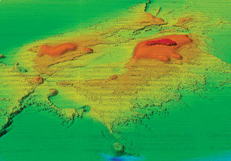 Three-dimensional image of West Flower Garden Bank in the Gulf of Mexico