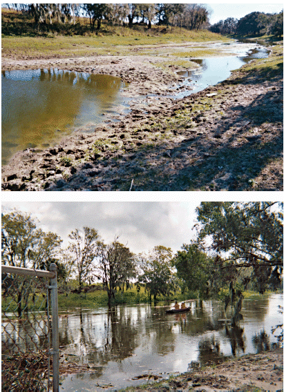 FIGURE 2. Views of Saddle Creek