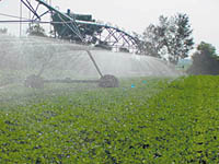 Center-pivot irrigation.  Photo by Mark Masters, FRWPPC