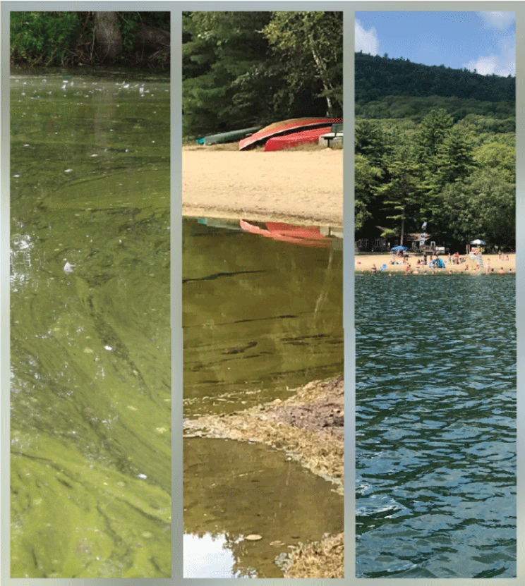 Left, green scum coats the top of the water; middle, water at an empty beach is opaque
                     and olive green; right, beachgoers enjoying blue waters.