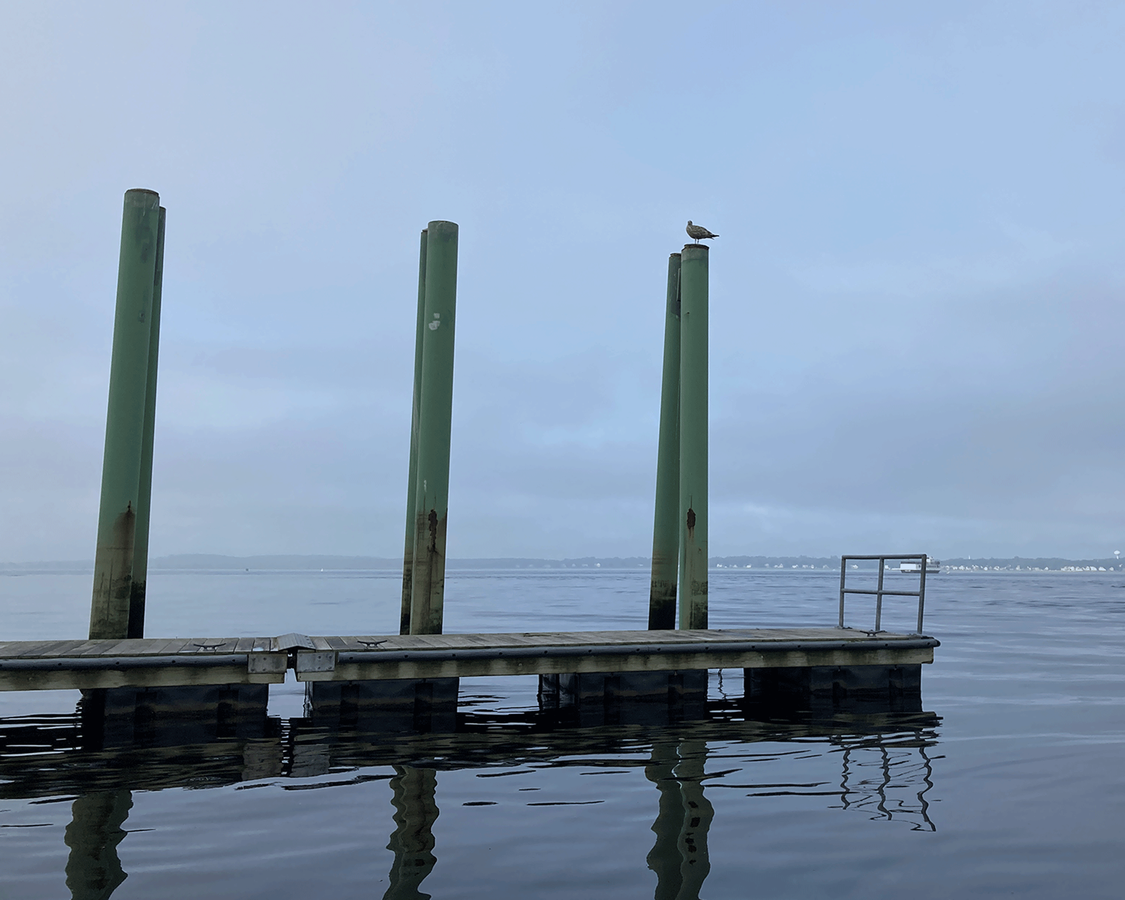 Photograph of a wooden dock floating on plastic barrels, in a large bay that stretches
                     from horizon to horizon.