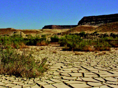 photo - drought