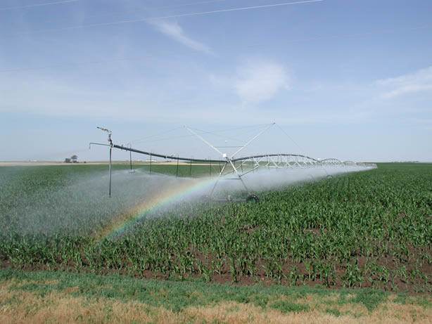 photo - irrigation
