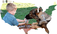 photo - boy with dog at drinking fountain
