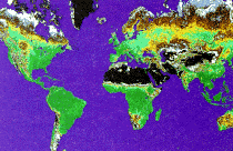 A small world map  with colors showing the index values.  This map has a bit less green areas.
