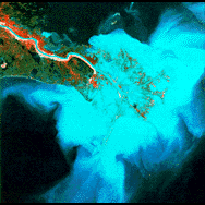 Landsat multispectral scanner satellite scenes, smaller blue area.