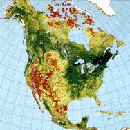 A color map of the Americas with color index for greeness.