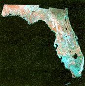 A color Landsat 5 photograph showing the state of Florida.