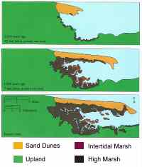 Figure 25. Growth and Development of Sandy Neck and the Great Marshes