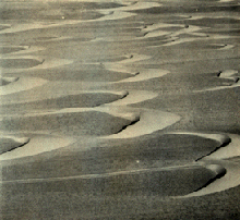 Crescentic dunes in coastal Peru