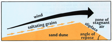 Diagram illustrating how dunes move through saltation