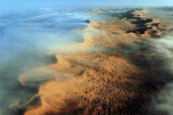 Morning fog in the Namib
