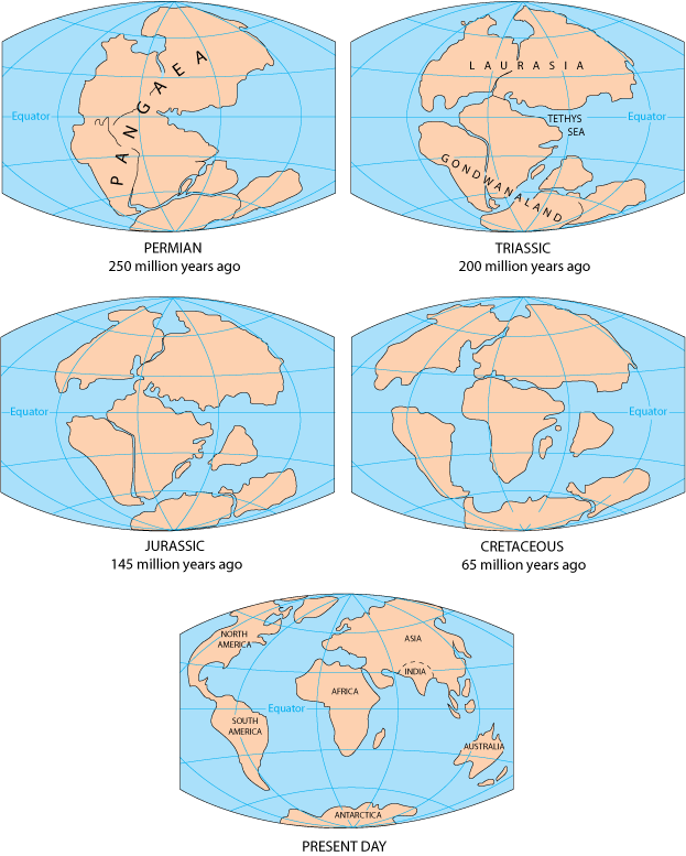 The various stages of the breakup of Pangaea