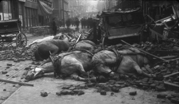Horses killed by a collapsed building wall in the 1906 San Francisco earthquake