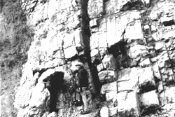 Photograph of nearly vertical limestone beds near Ardmore, Oklahoma, that were disturbed from their original horizontal position by mountain building and contain Silurian fossil shells