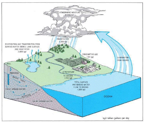 diagram of the hydrologic cycle