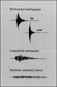Common seismic signatures