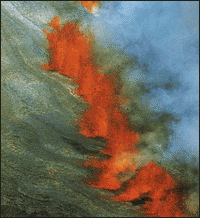 Disconuous row of lava fountains
