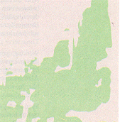 A section of  a USGS topographic map separate, green layer.