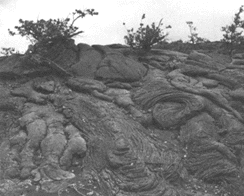 Photograph of pahoehoe
