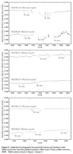 Figure 5. Water-level hydrographs for paired Minnelusa and Madison wells.